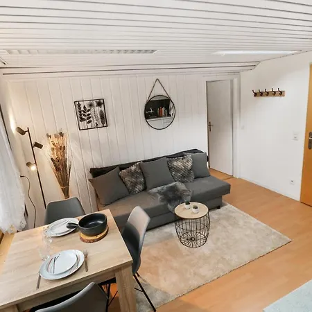 Confortable Avec Un Sauna Appartement