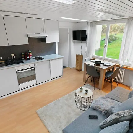 Appartement Confortable Avec Un Sauna