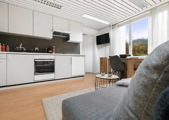 Confortable Avec Un Sauna Apartment