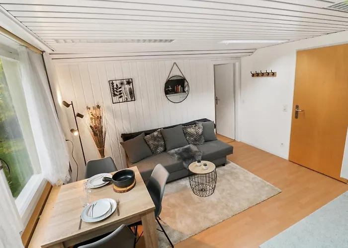 Confortable Avec Un Sauna Apartment